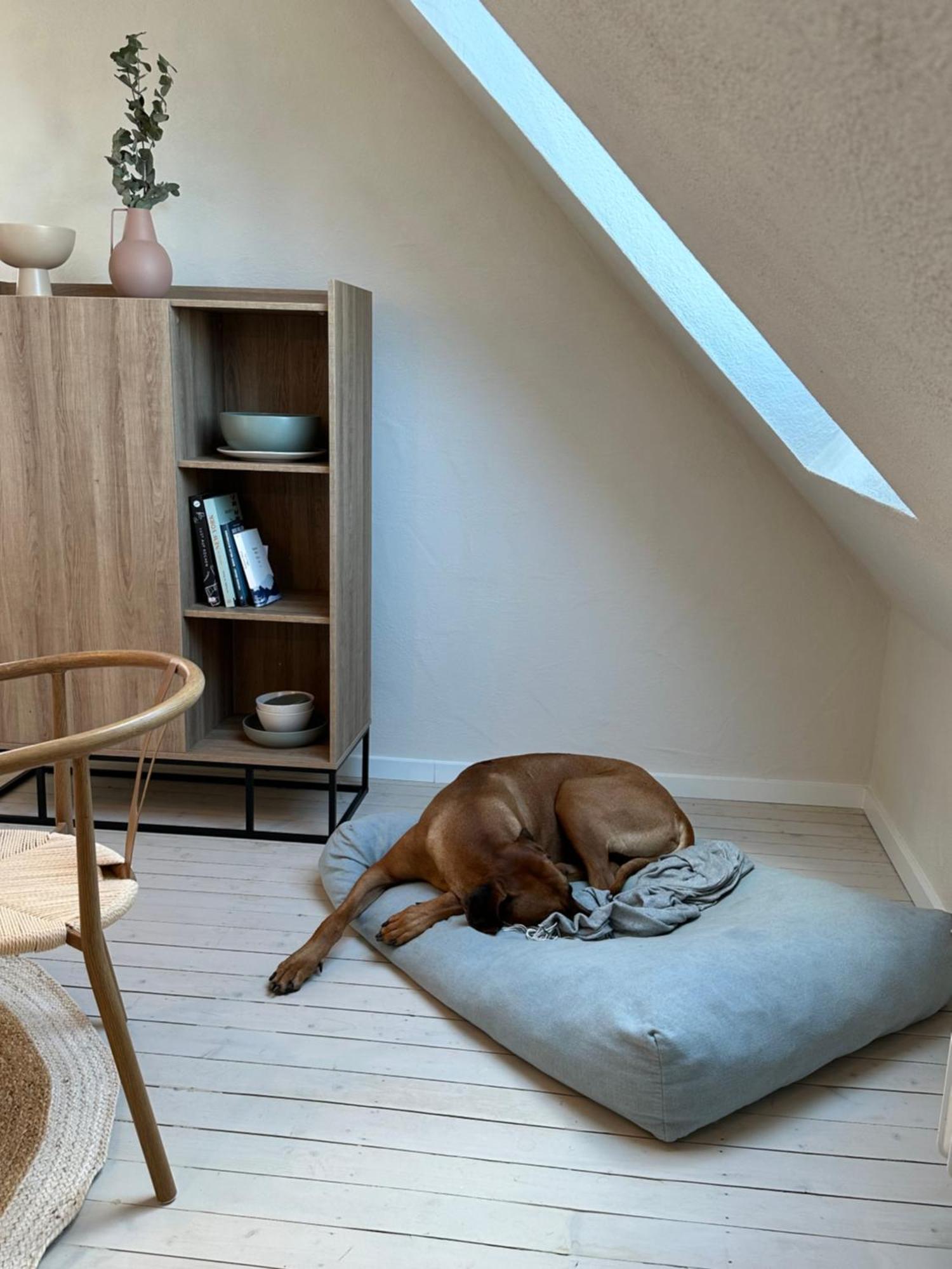 Cozy City Apartment Daun - Ferienwohnung エクステリア 写真